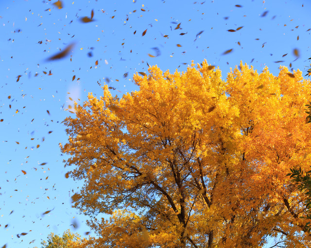换个角度态度不一样,换个角度未必是坏事