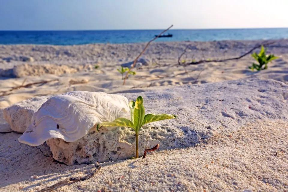 武汉周边自驾一日游小众免费,国内最值得自驾游旅行的地方