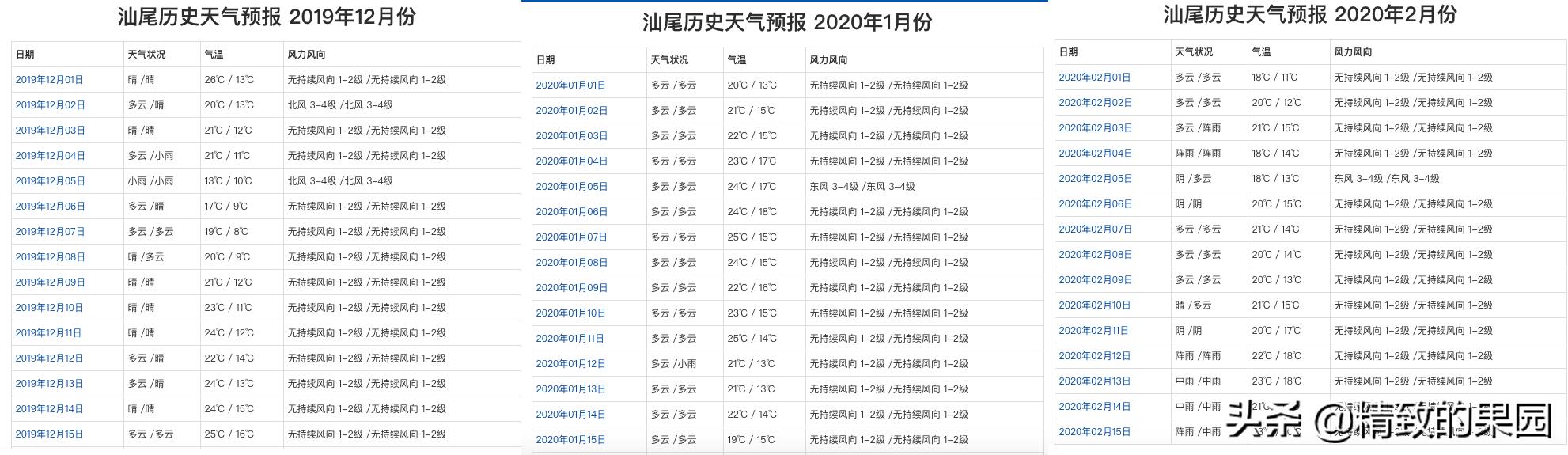 芒果落果严重怎么补救,芒果落花落果怎么防治