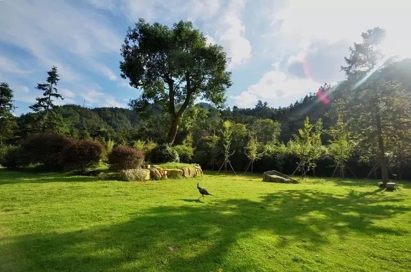 南国仙境姑婆山,姑婆山从南国仙山到山顶要多久