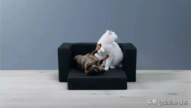 宜家最好用的宠物,宜家中可以给宠物购买的物品