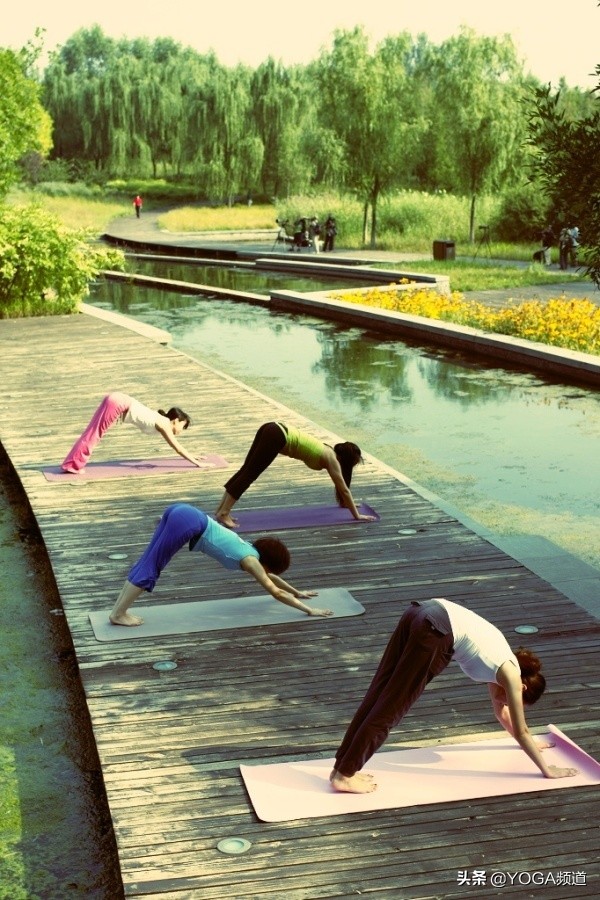 瑜伽入门如何练习瑜伽呼吸法,从零开始练瑜伽全套视频在线观看