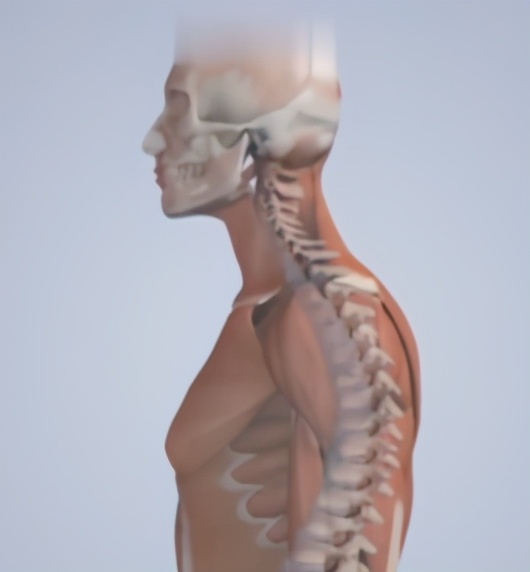 怎样消除乌头毒性,什么方法能够减弱乌头毒性