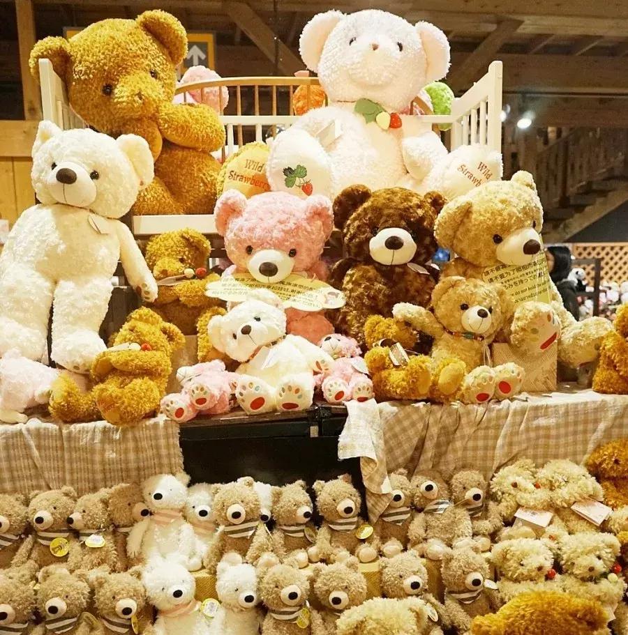 上海雪乡五日游攻略,日本雪乡一日游多少钱