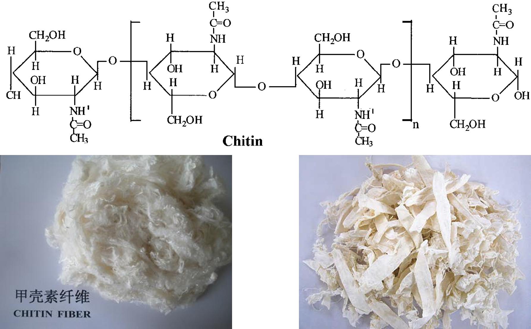 美食→生物材料|小龙虾和螃蟹→伤口敷料