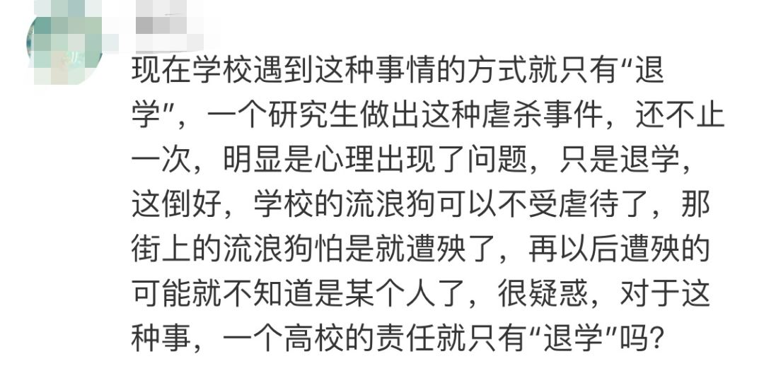 高校研究生杀流浪狗,成都高校研究生虐狗事件
