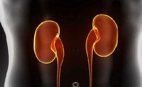 肾盂肾炎的饮食和保健调养你了解吗？请听护理点滴来为你解答