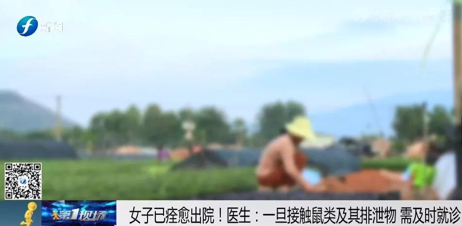 漳州一女子突然发热,漳州市多处出现发烧症状