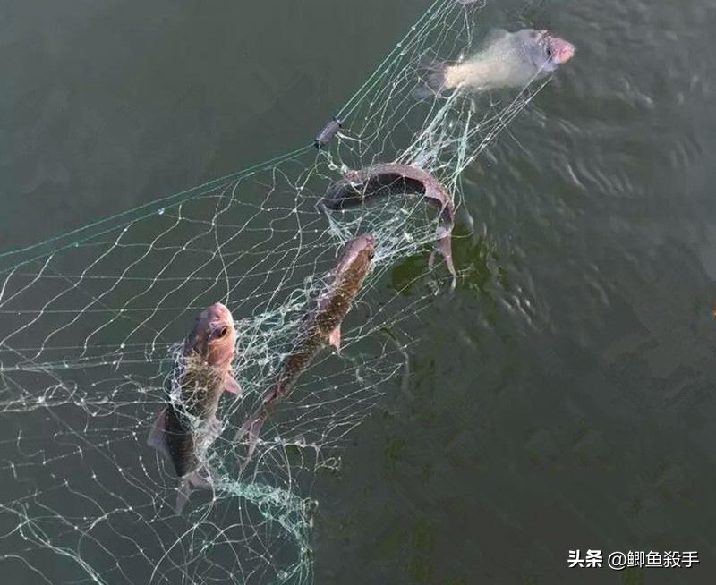 禁渔令禁用渔具,禁渔令渔具使用规定