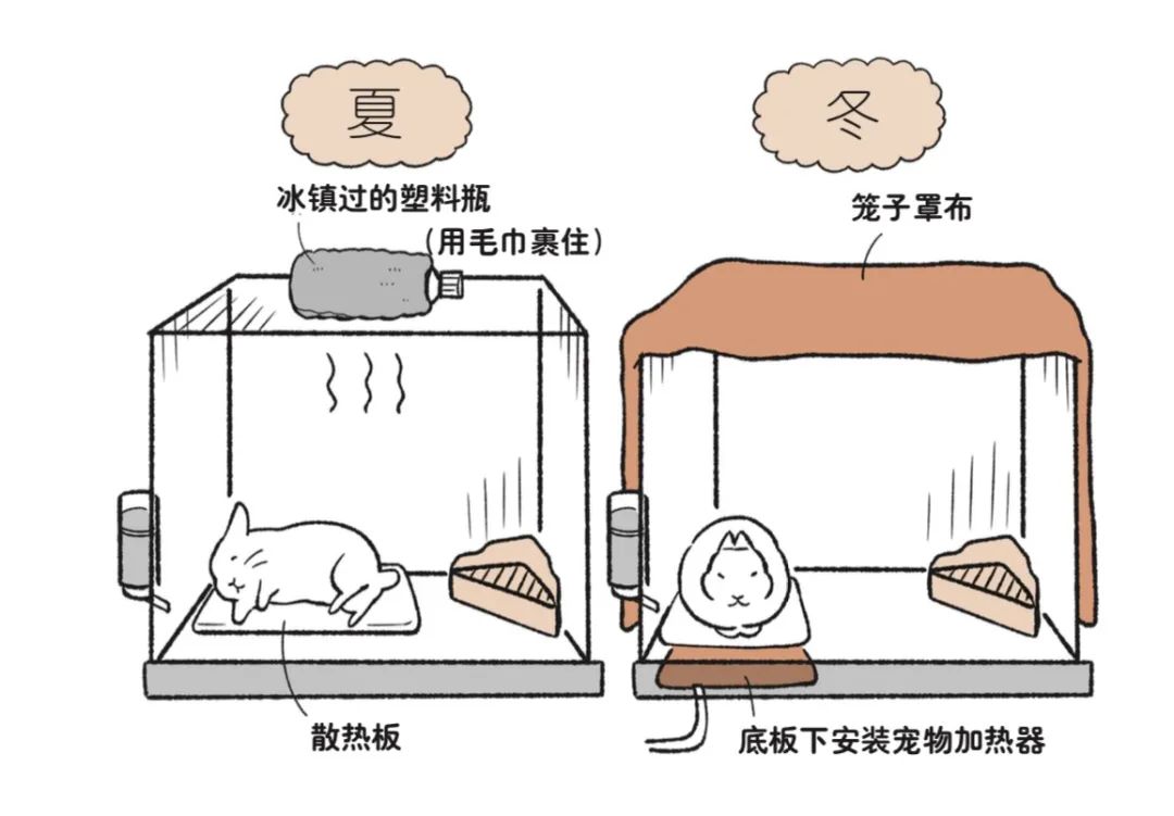 兔子不好养是什么意思,养兔子技巧