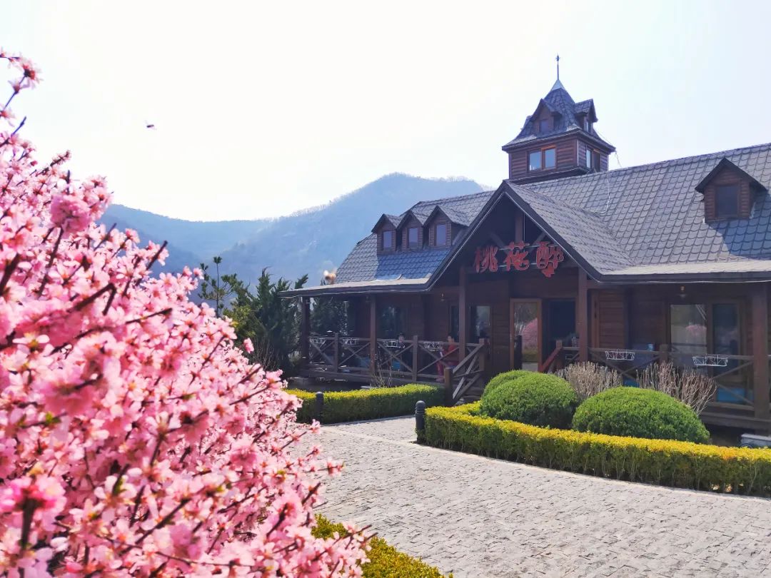 西郊山林休闲养生度假公园,休闲好去处西郊森林公园