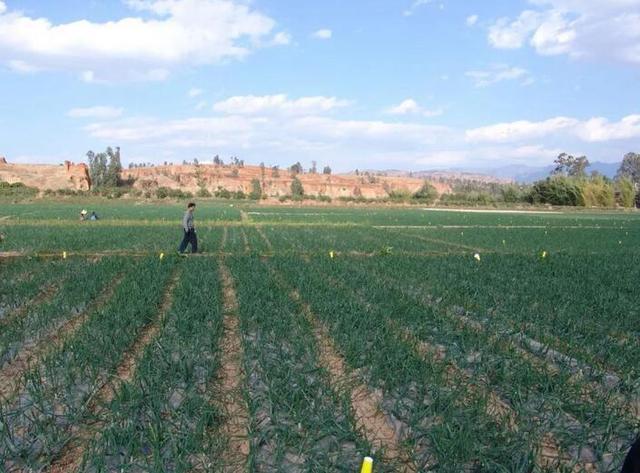 出口转内销的物价会降吗,出口转内销价格表