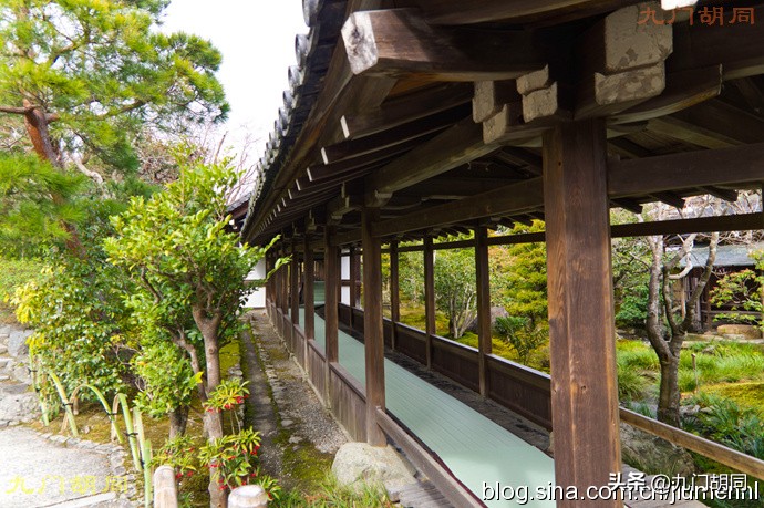 足利高氏进京见醍醐天皇,足利尊氏和后醍醐天皇的关系