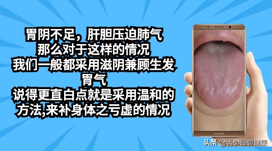 舌诊歌舌象分析与感悟,舌诊哥聊健康痰湿