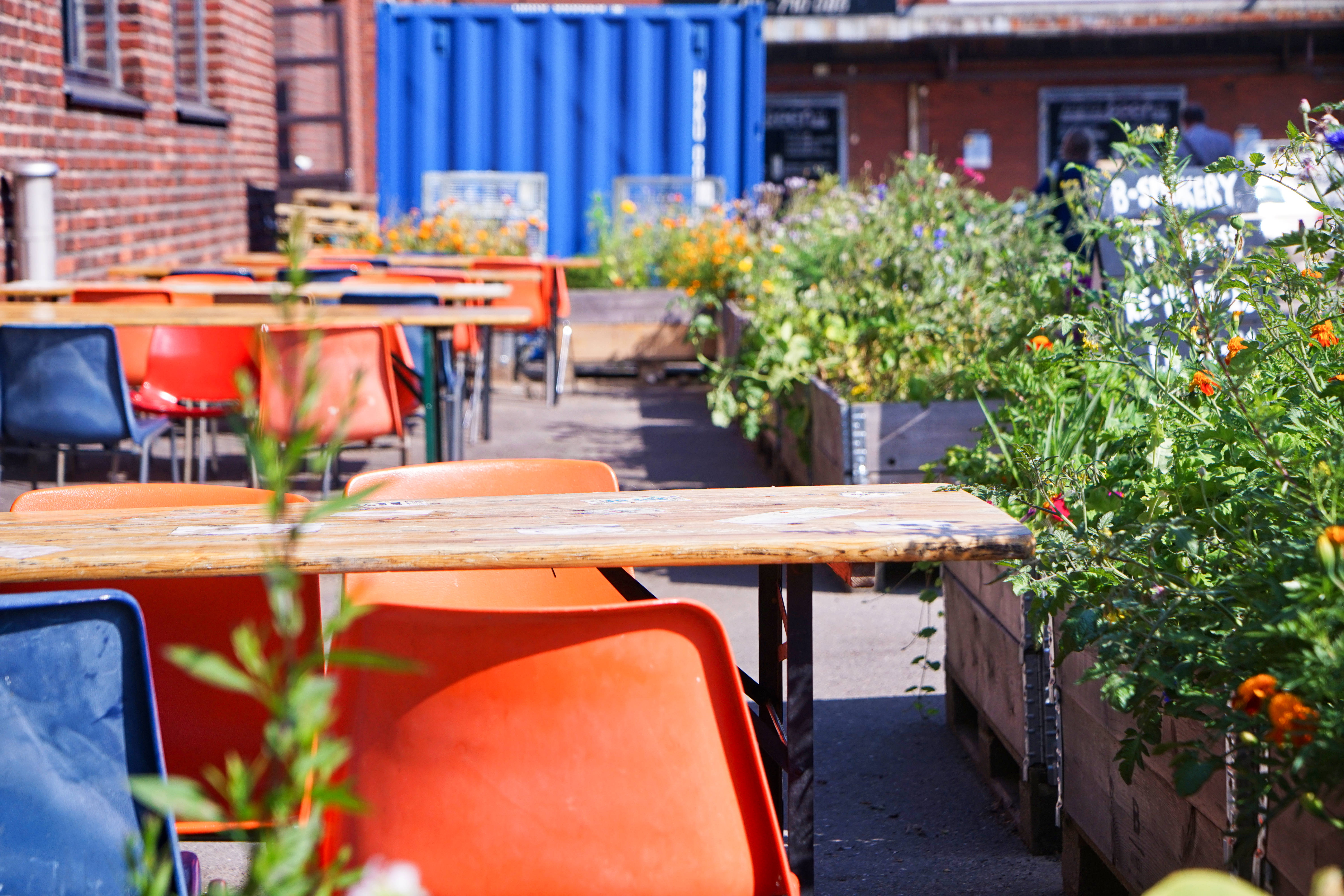 不会英语也能嗨的国家,不会英语能游遍世界吗