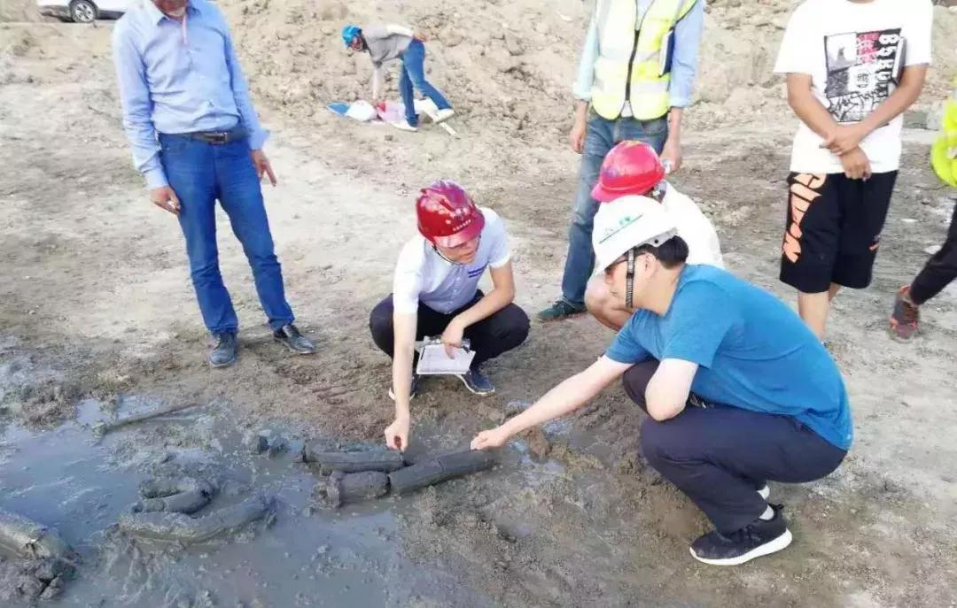 姹熻嫃鍧ゆ辰寤鸿宸ョ▼鏈夐檺鍏徃,姹熻嫃鍧ゆ辰绉戞妧闃查鍥烘矙