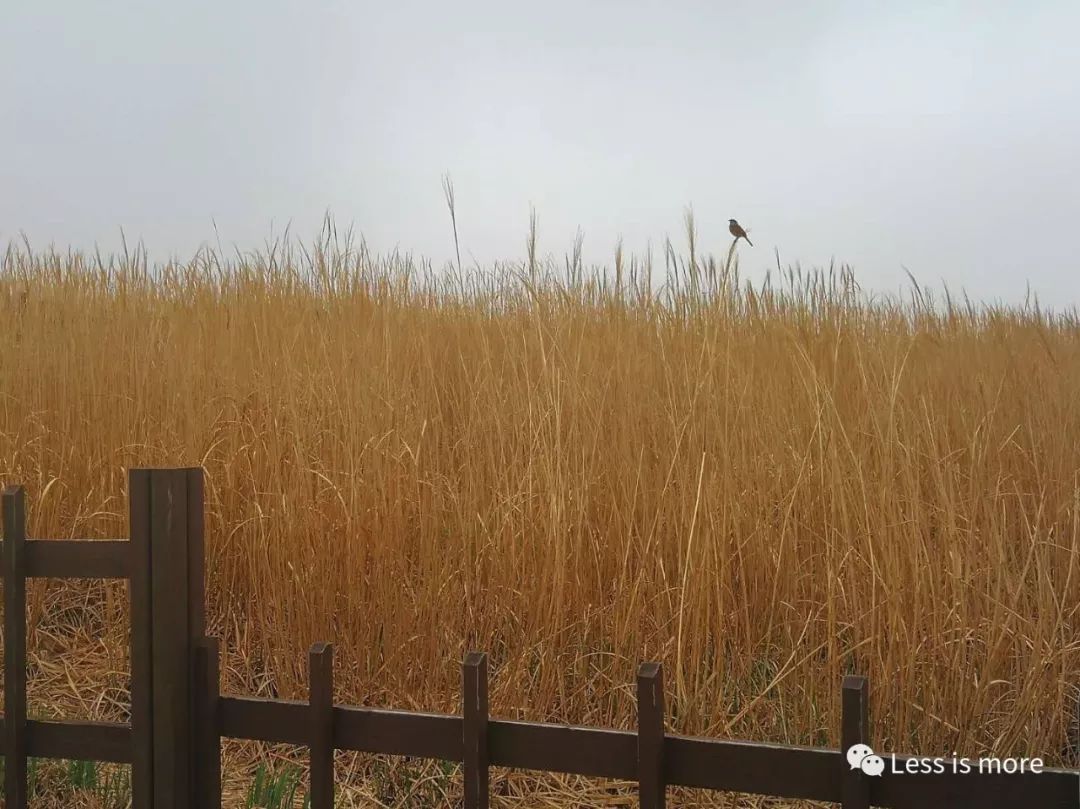 韩国济州岛超详细旅游规划攻略,韩国济州岛攻略自由行