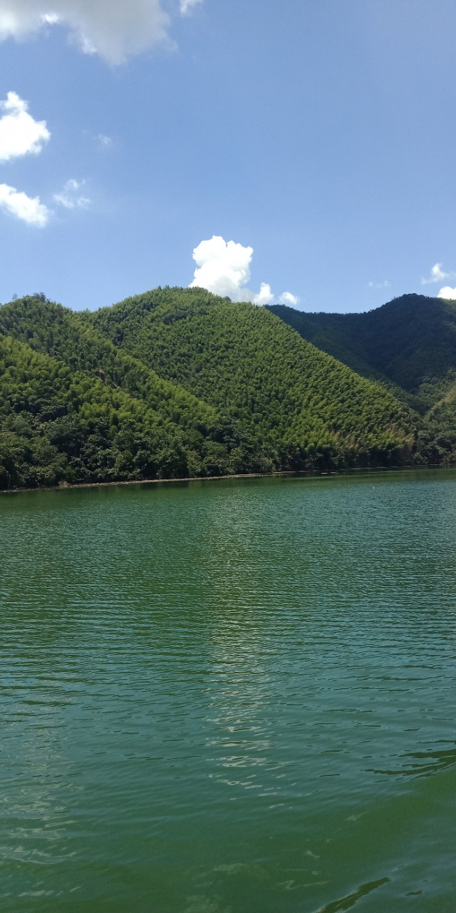 九州文学南京诗社作品,九州文学社作品