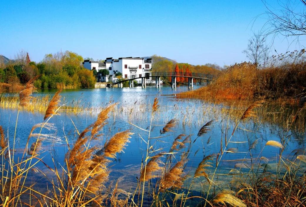 宿州夏天最美的风景在哪里,宿州观赏秋景