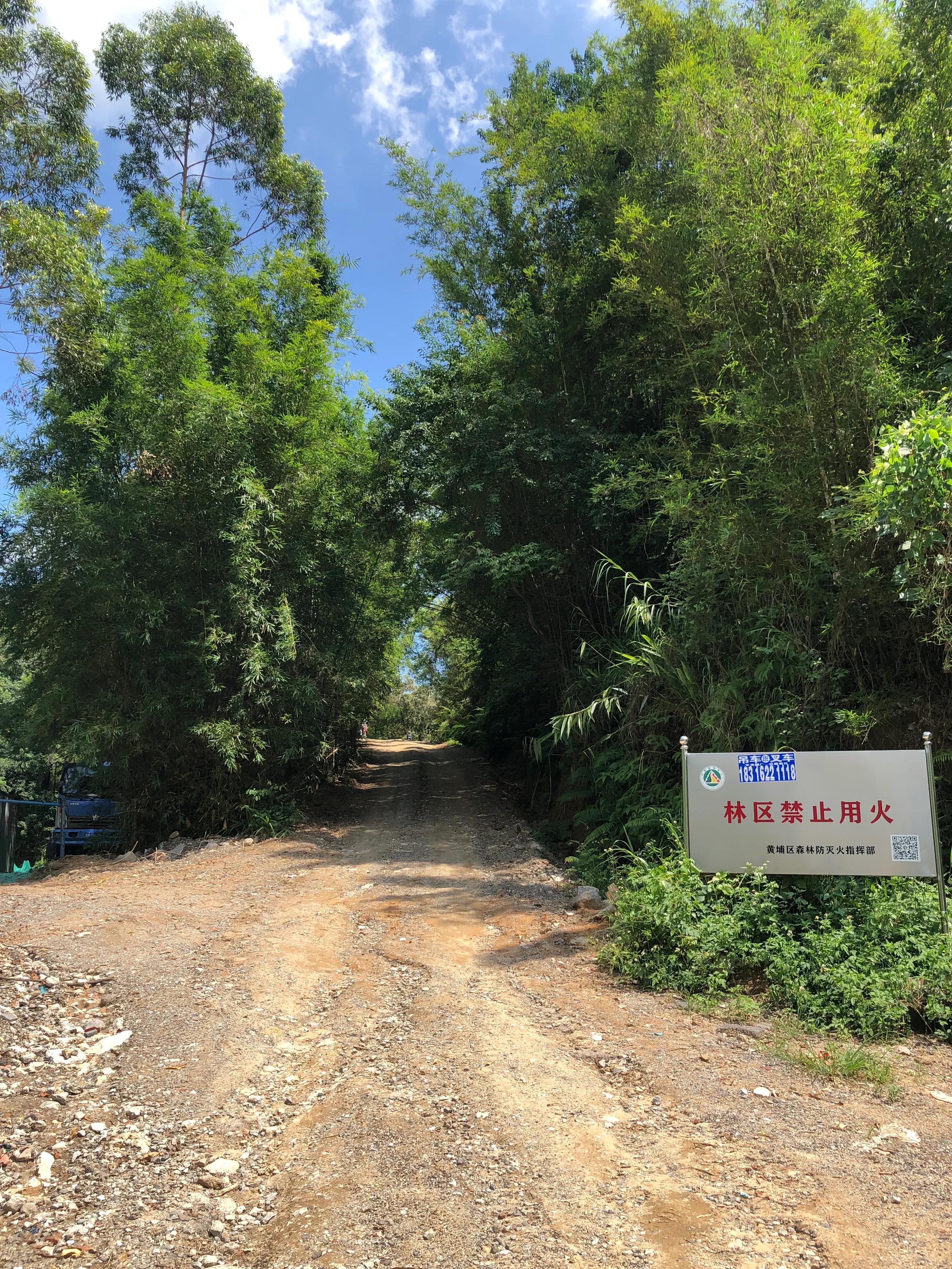 黄埔石牙顶天坑攻略,广州黄埔石牙顶天坑景色