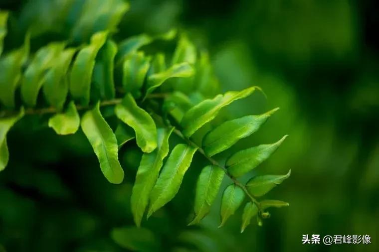 那些被忽略的美,那些被忽略的风景