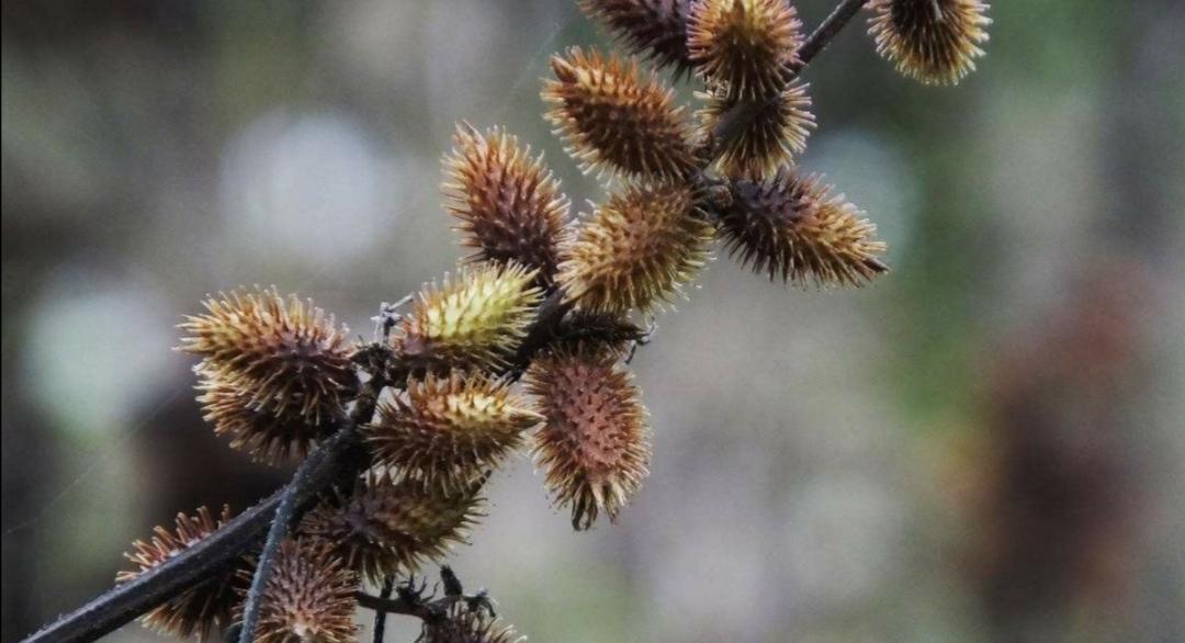 孙耀庭:清朝灭亡时父亲挥刀为他净身,侍奉皇后时脚底藏着干苍耳