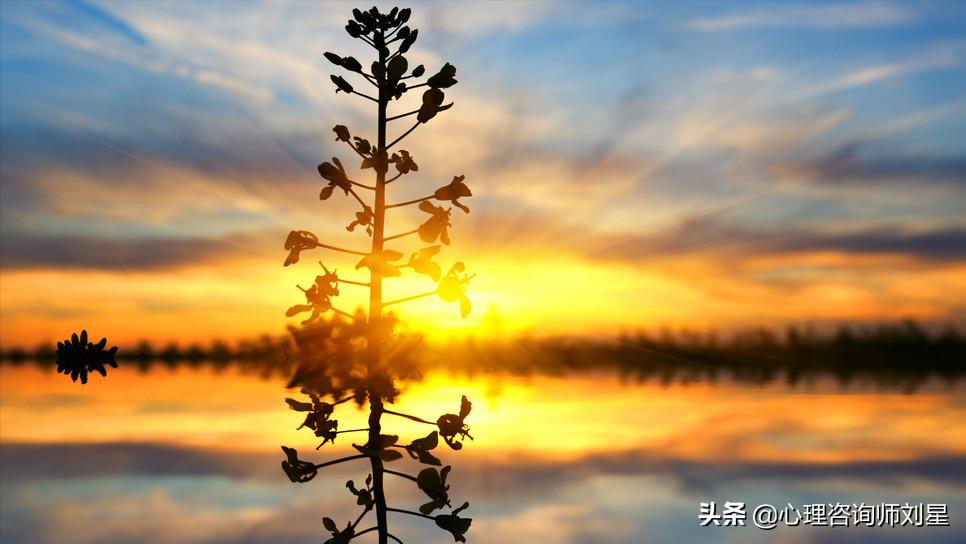 重度强迫症如何面对不完美,强迫症想完全治愈是不可能的