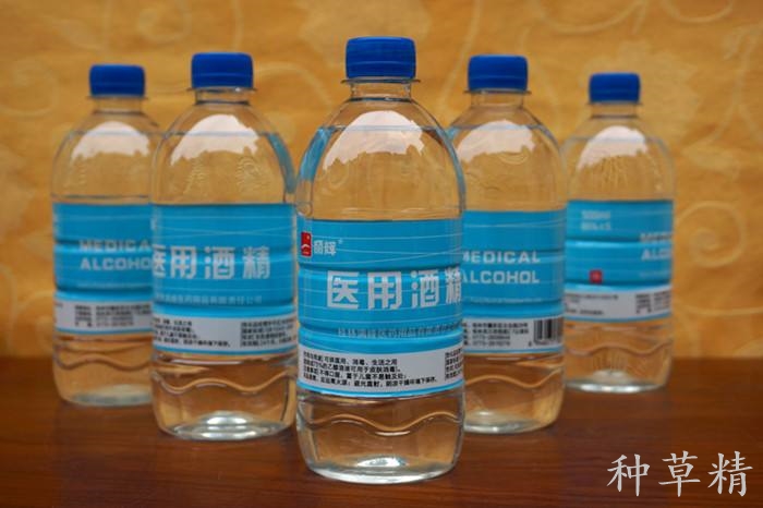 粘鼠板粘到老鼠怎么去除,粘鼠板粘到老鼠怎么处理