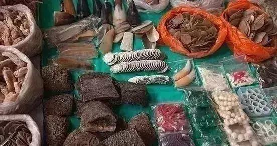 放过大象吧！别再用大象皮车珠子了！