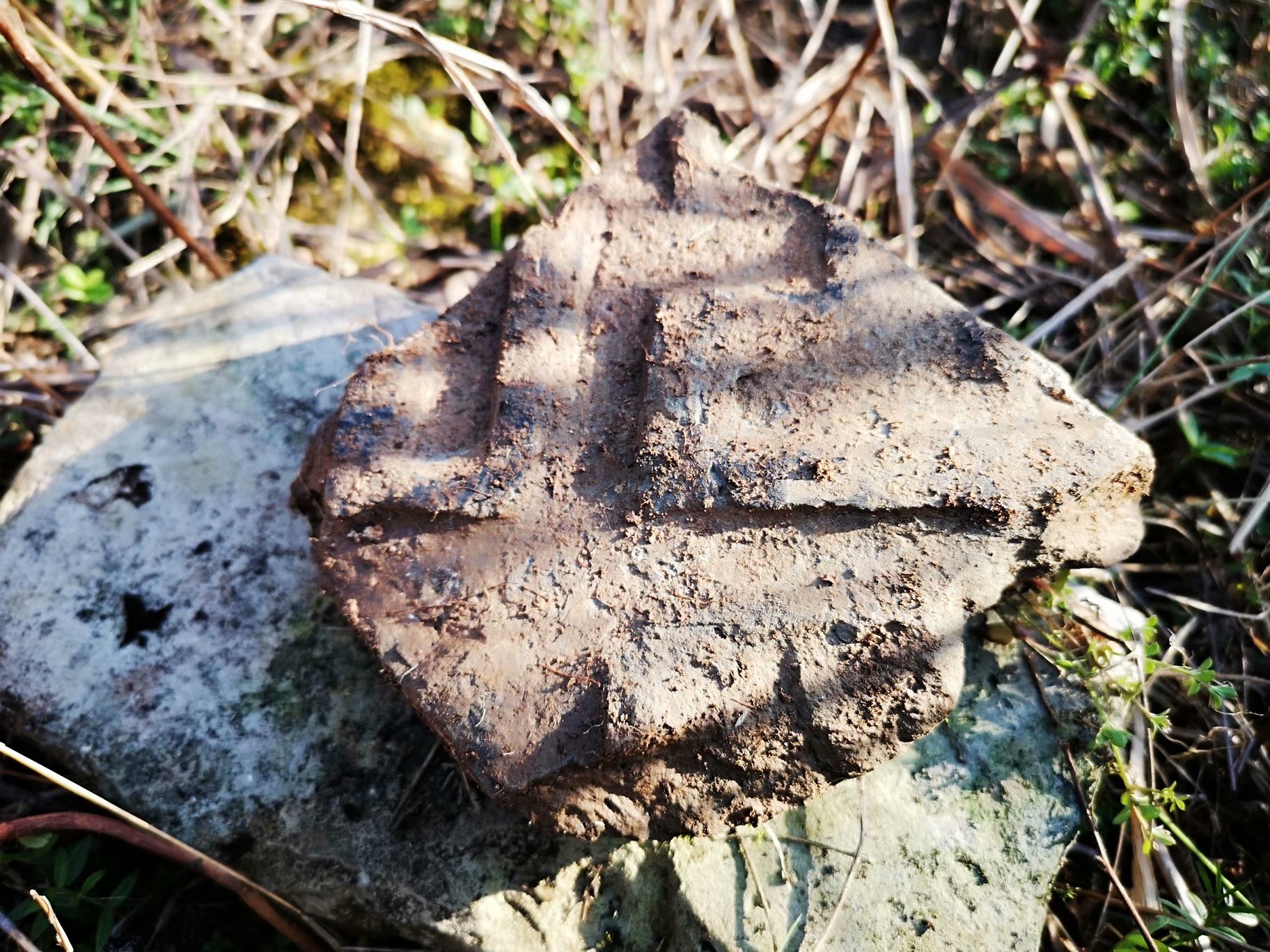 摩托周边旮旯游——探访蚌埠李楼鲁山寺遗址（上）