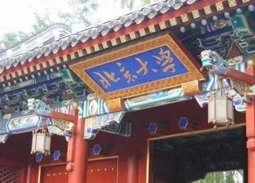 新站未来的潜力板块在哪里,新站发展最新消息