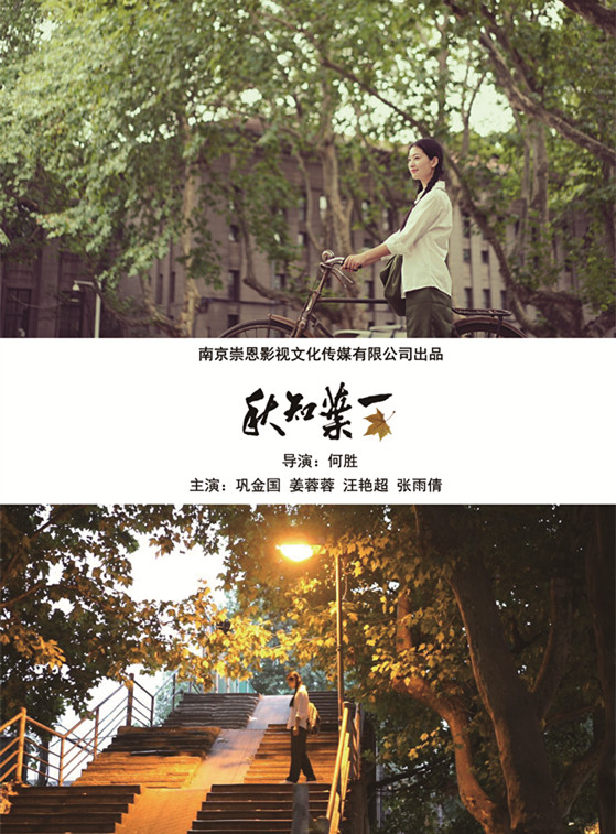 姜蓉蓉，一朵美丽绽放的向阳花