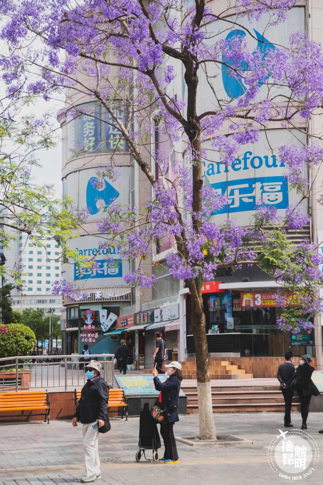 南屏街是市中心吗,昆明南屏街是市中心么