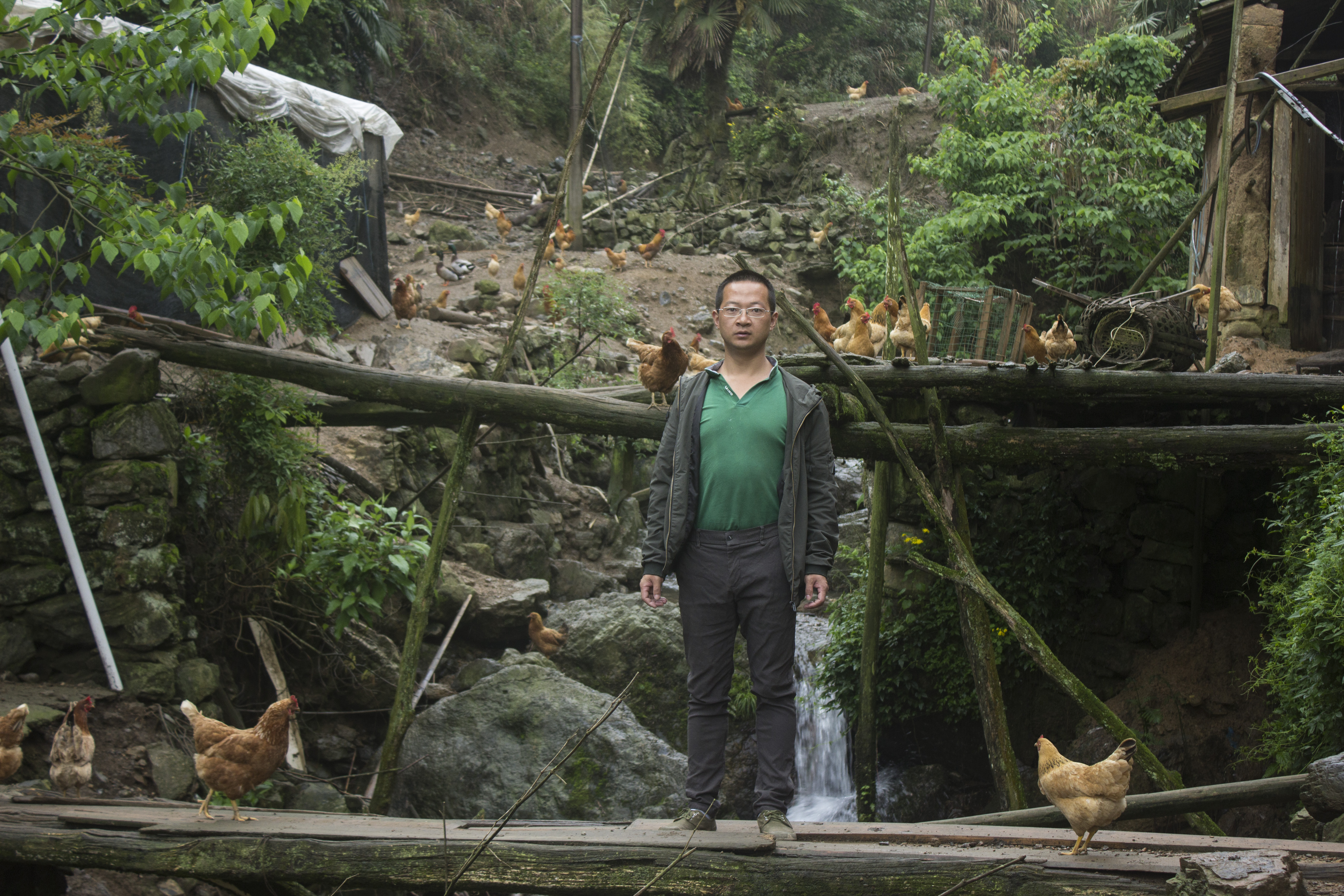 养殖2000只土鸡的成本与利润,怎么养土鸡赚钱