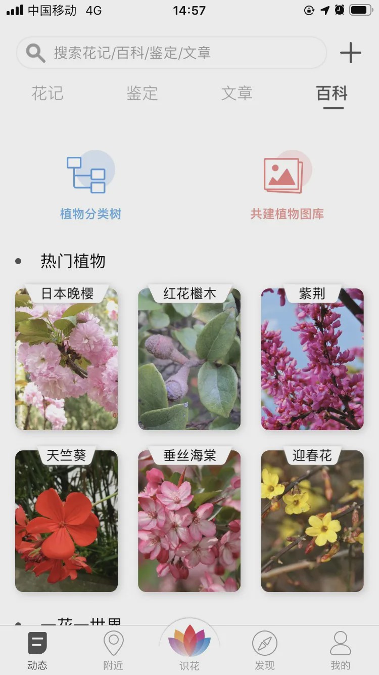 哪个识花软件最好用,识花app免费的哪个好