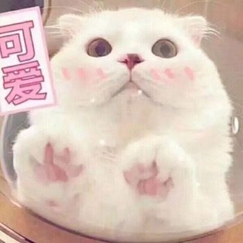 1万元放银行活期还是放余额宝好,余额宝的钱怎么去银行存定期