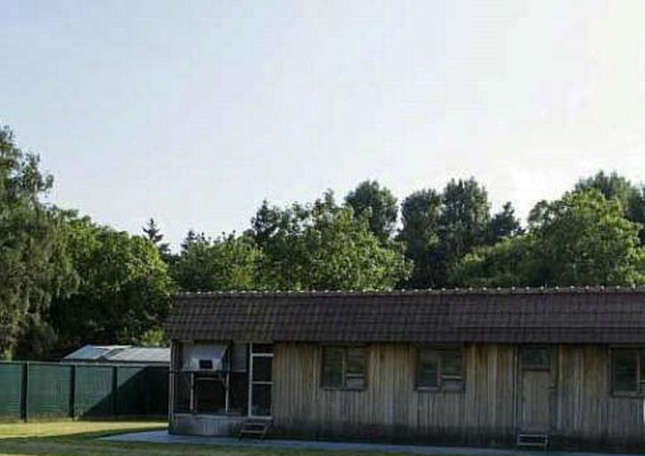 波治先生?吉诺.克里克,中距离赛事专家