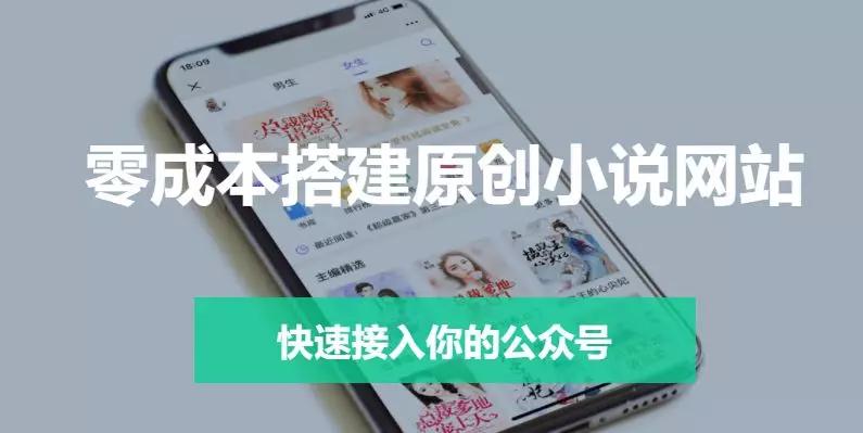 我花200块买了本弱智小说，据说能日入过万