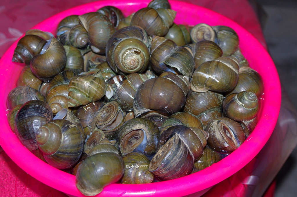 广东田螺鸭肉汤,客家田螺猪肉咸菜汤