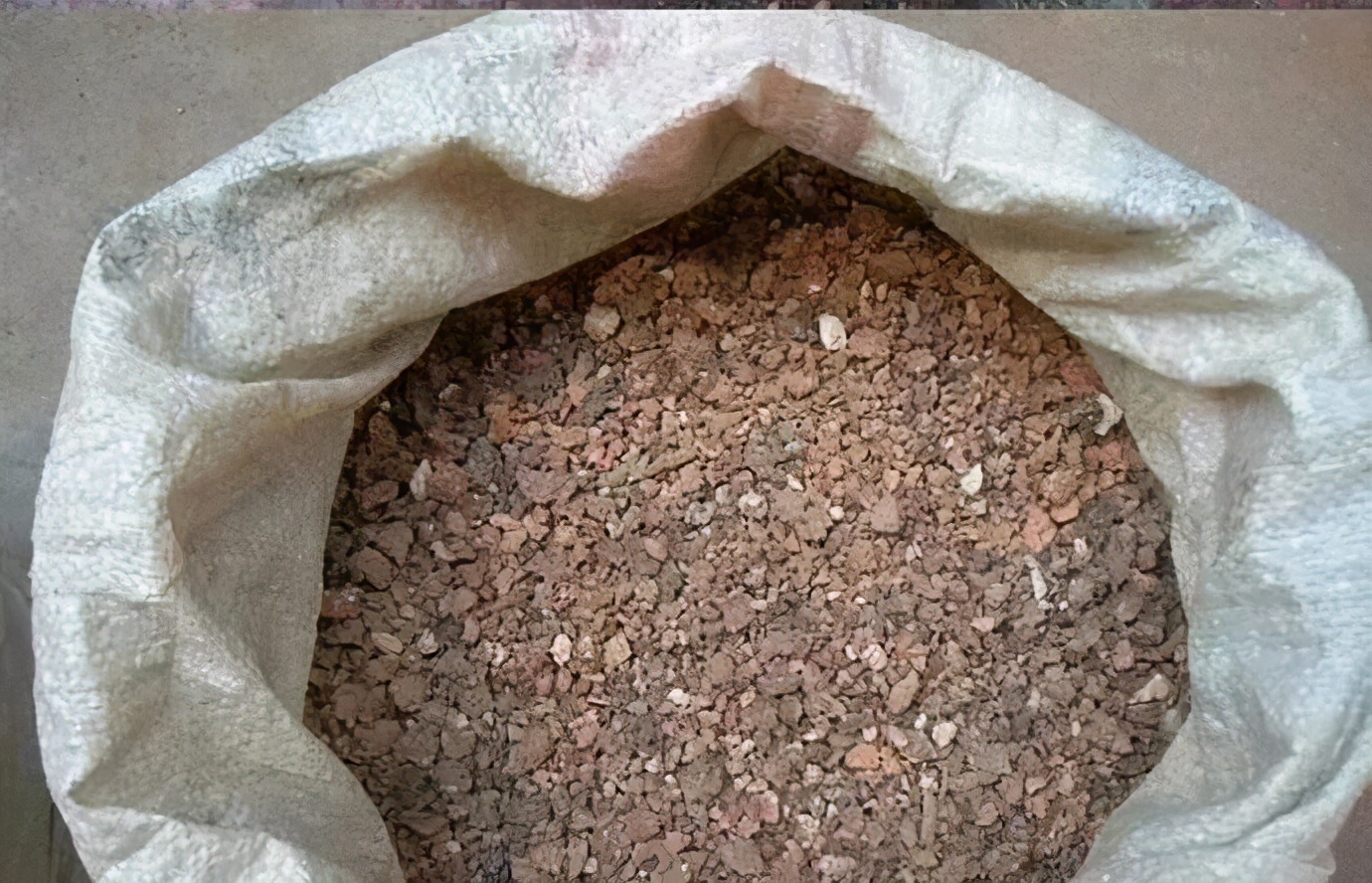 刚买的带盆多肉怎么处理,原盆原土的多肉回来怎么上盆