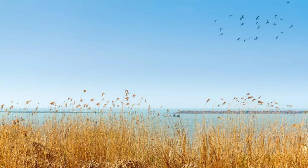 苏州望亭第一镇,苏州望亭一个千年古镇的逆袭