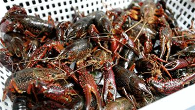 门头沟十大特色美食,门头沟区大台美食