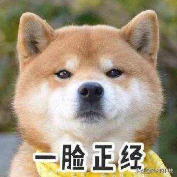 中国最早的域名注册,全球注册量第一的域名