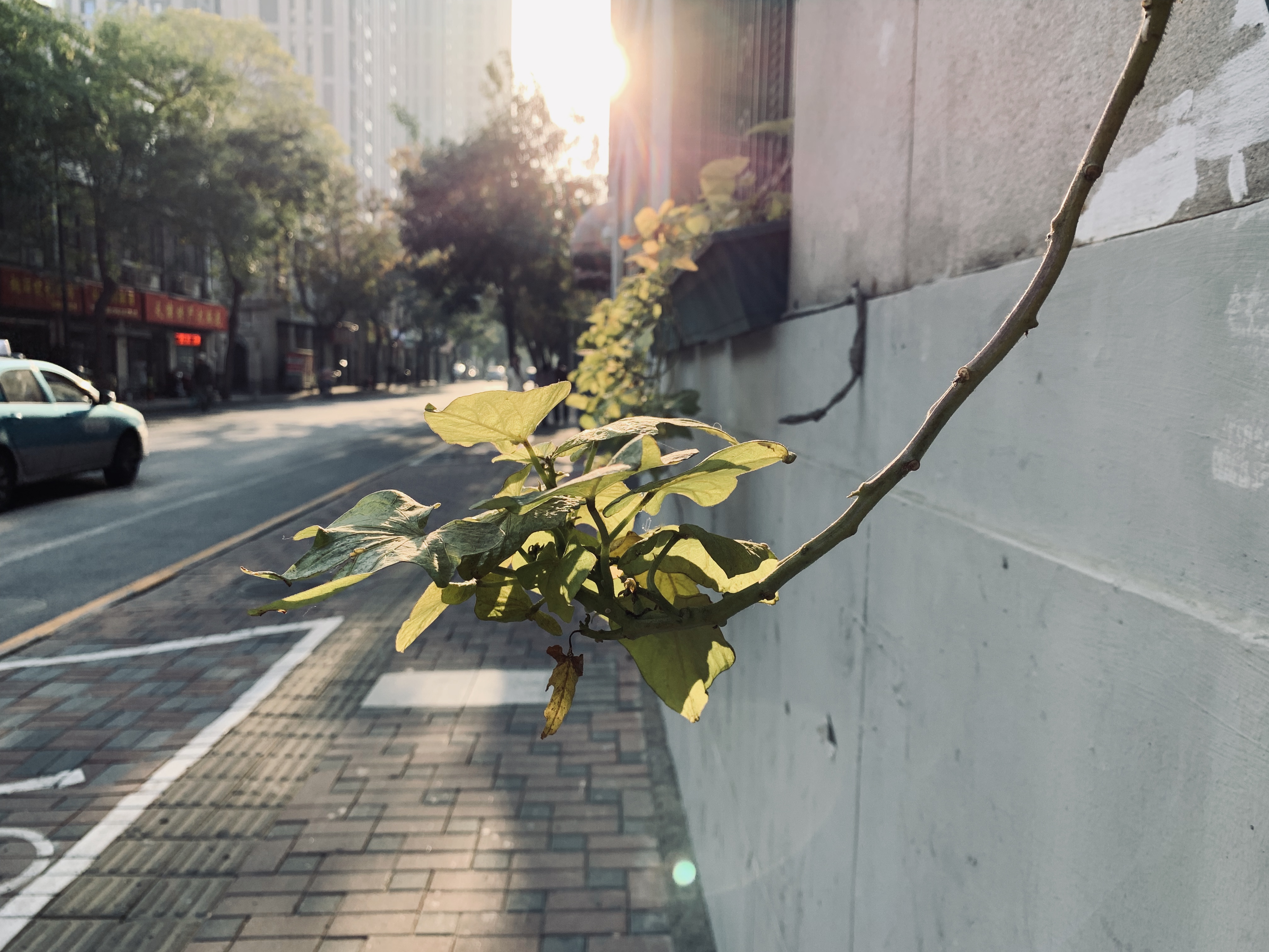 xr2019大边框,为什么xr的大边框看起来舒服