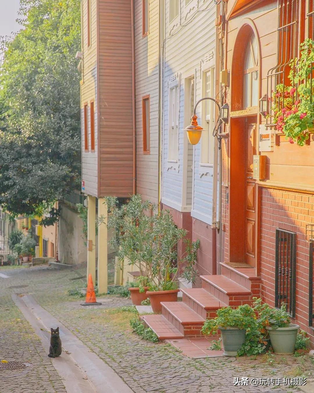 曲线如何调色详解教程,曲线调色技巧和方法