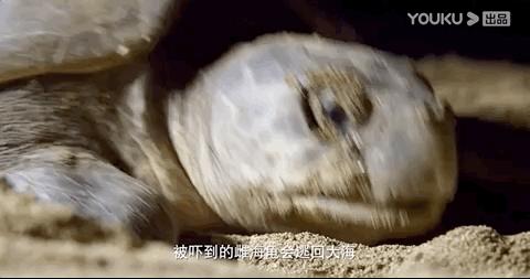 彭于晏我最需要的时候你在哪里,彭于晏我最需要他的时候他在哪里