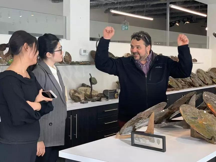 加拿大矿区斑彩石,斑彩宝石矿