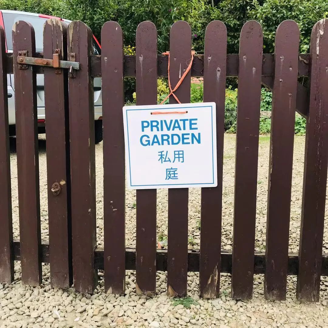 英伦旅行,英伦游学记全集