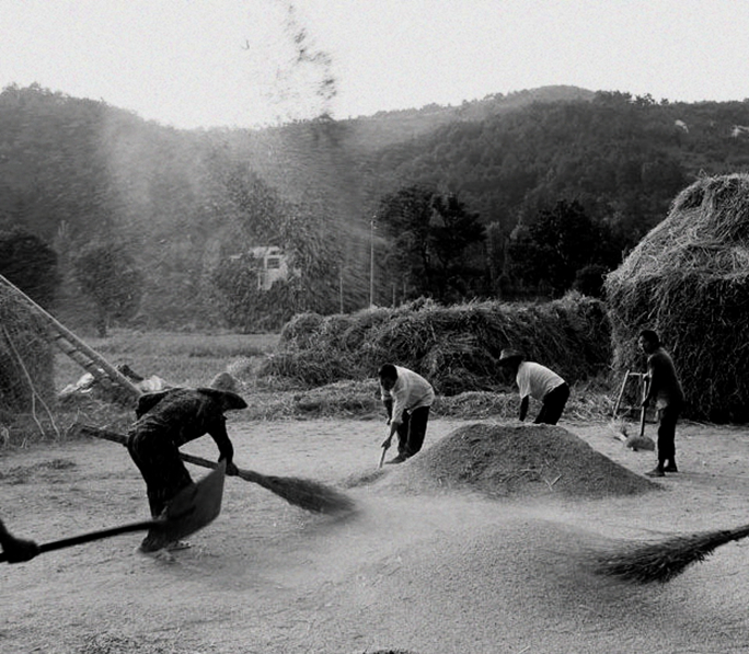 涔″湡鏁ｆ枃,涔″湡鏁ｆ枃杩囧勾