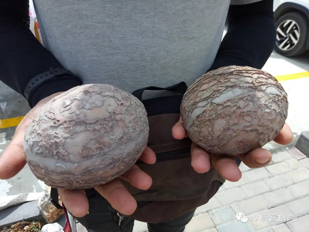 骑行中国第21天露营,骑行北疆大环线